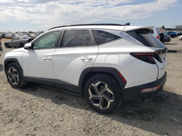 2023 HYUNDAI TUCSON SEL - KM8JFCA13PU102029