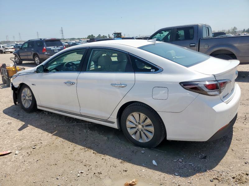 2016 HYUNDAI SONATA HYB - KMHE24L11GA011567