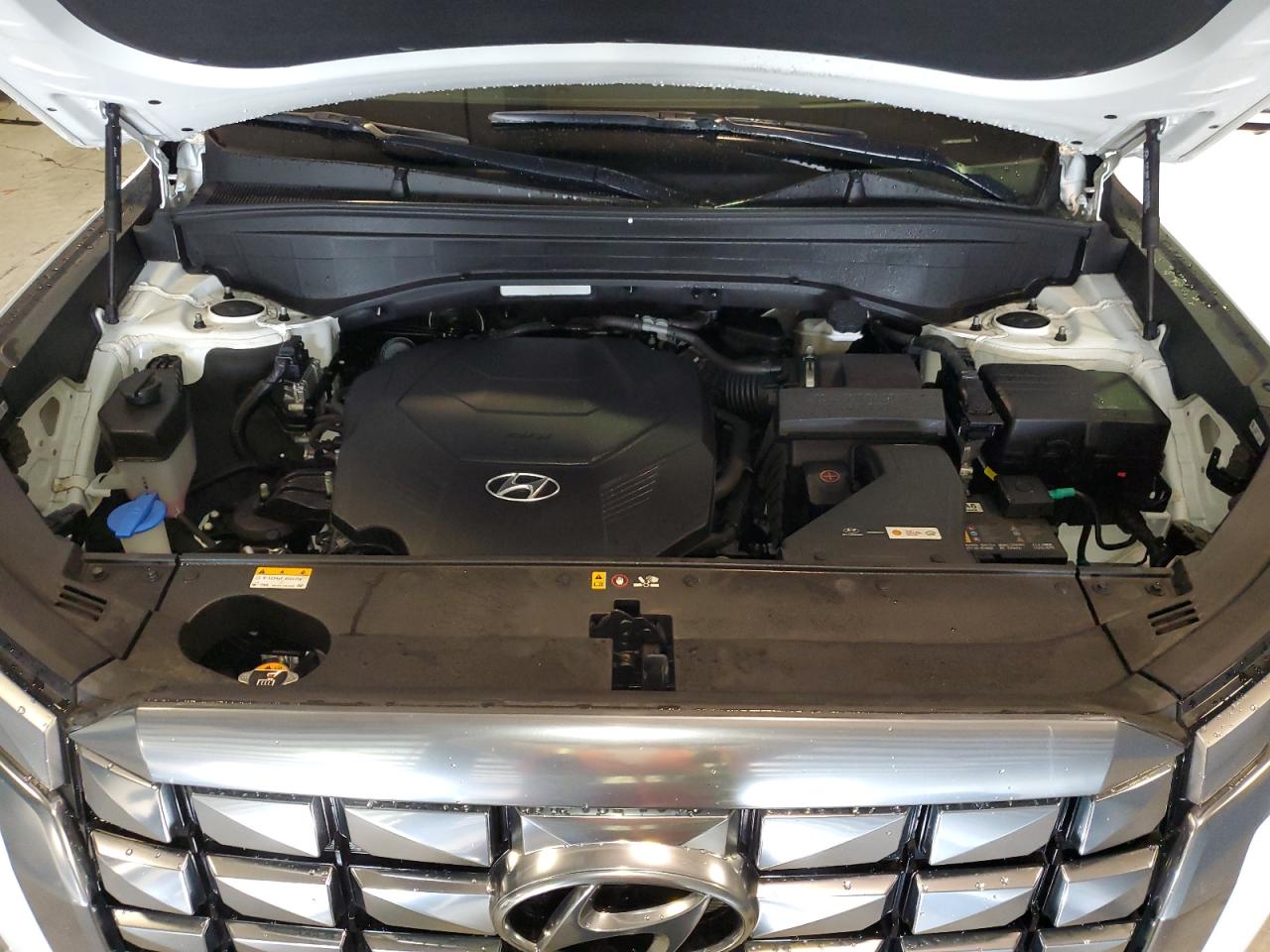 HYUNDAI PALISADE CALLIGRAPHY