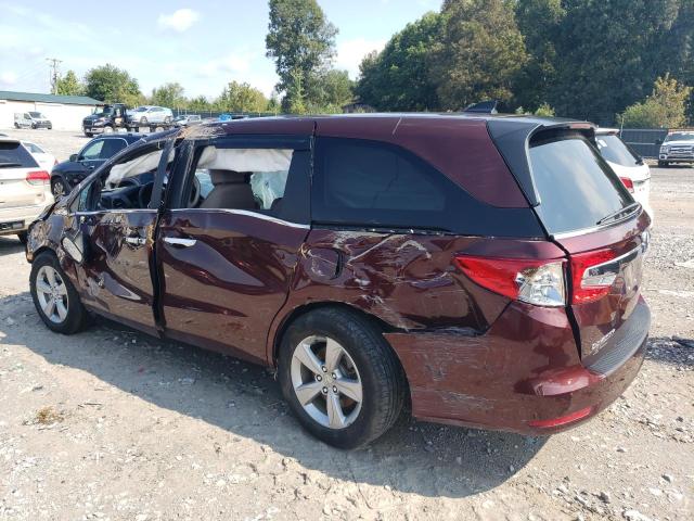 2019 HONDA ODYSSEY TO 5FNRL6H54KB046789