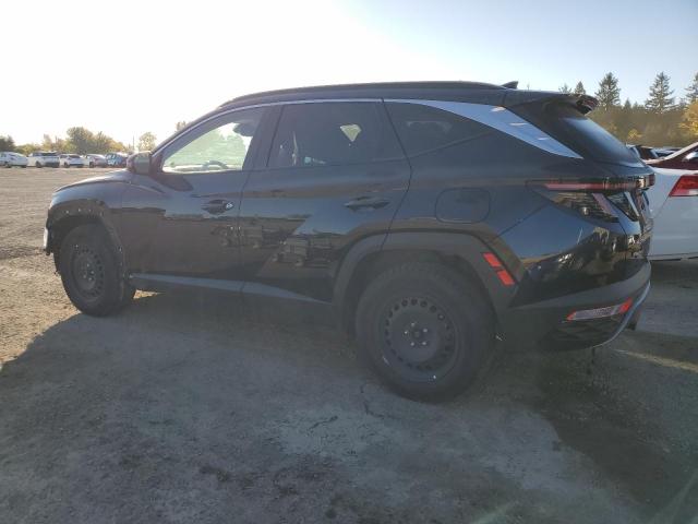 2022 HYUNDAI TUCSON LUX - KM8JCCA10NU056603