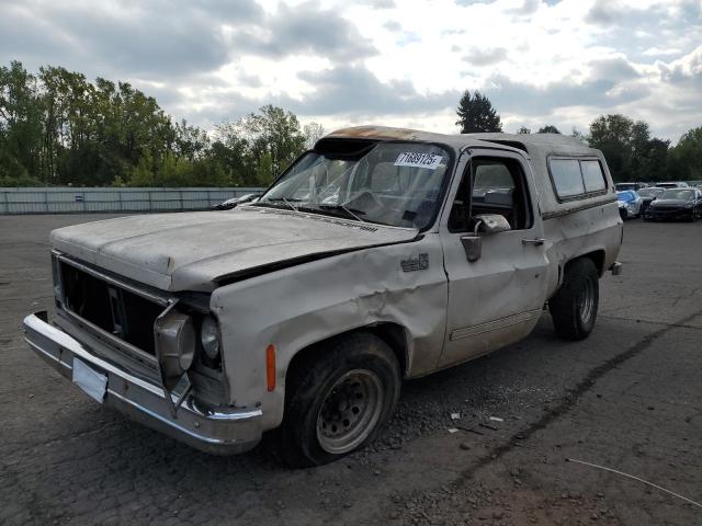 Global Auto Auctions: 1980 CHEVROLET C20