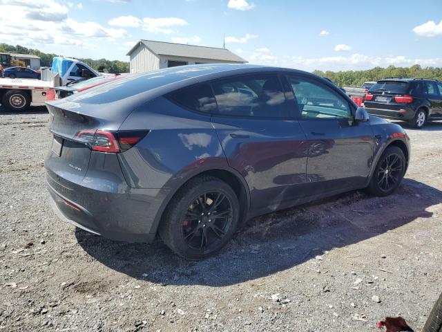 2023 TESLA MODEL Y #3262007469