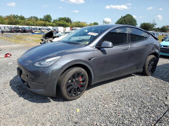 Global Auto Auctions: 2022 TESLA MODEL Y