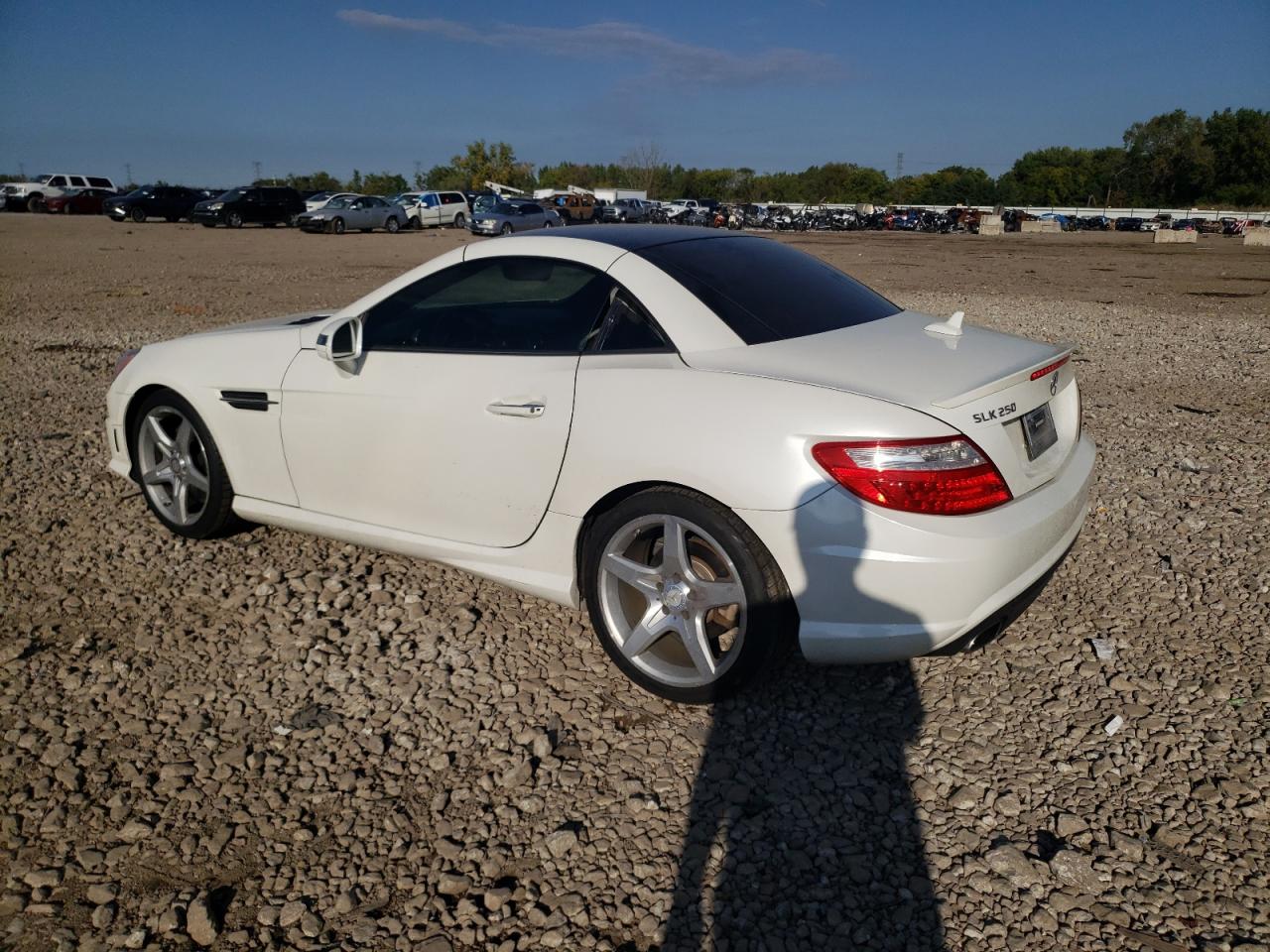 MERCEDES-BENZ SLK-CLASS 250