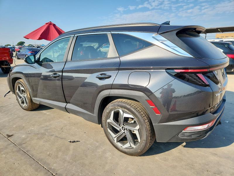 2023 HYUNDAI TUCSON - 5NMJF3AE2PH260859