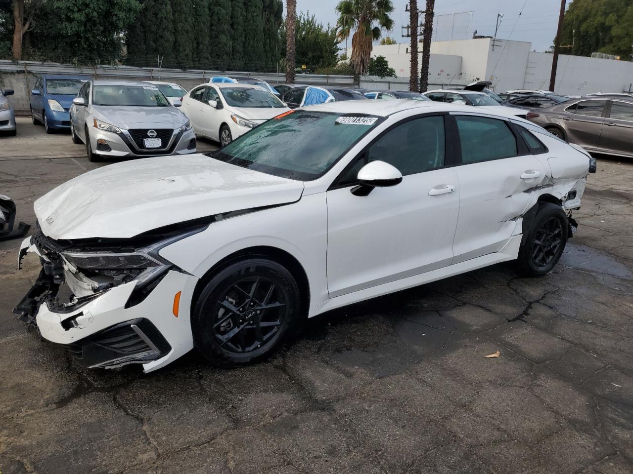 Lot #3301615631 2025 KIA K5 LXS