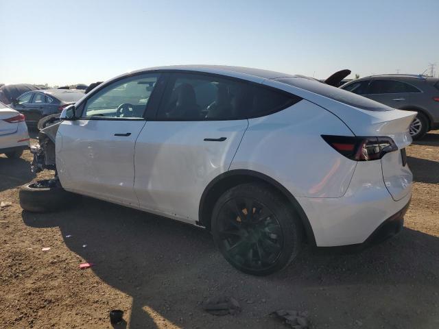 2023 TESLA MODEL Y #3290370774