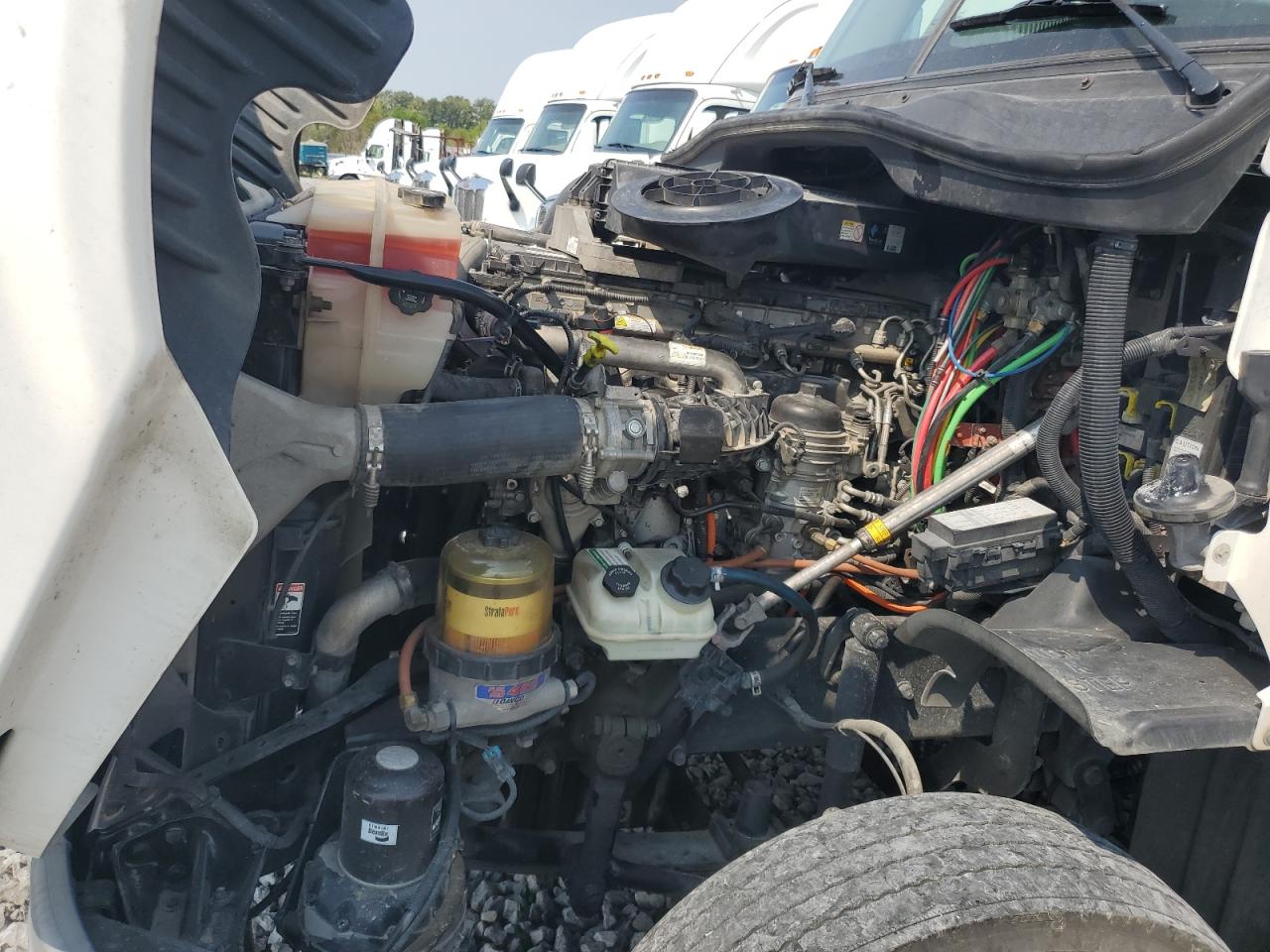 Lot #3239988484 2015 FREIGHTLINER CASCADIA 1