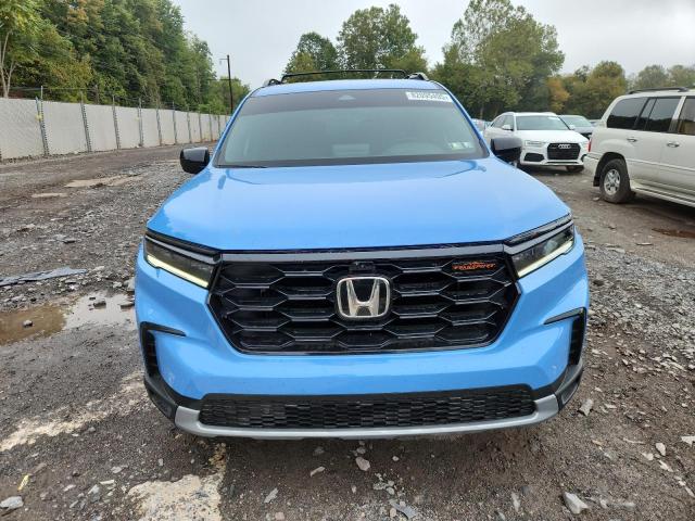 2024 HONDA PILOT TRAI 5FNYG1H69RB023496