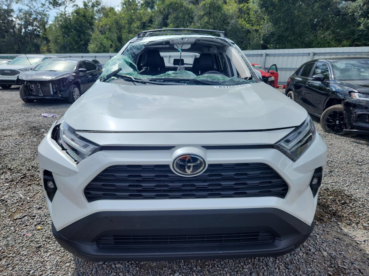 TOYOTA RAV4 XLE PREMIUM