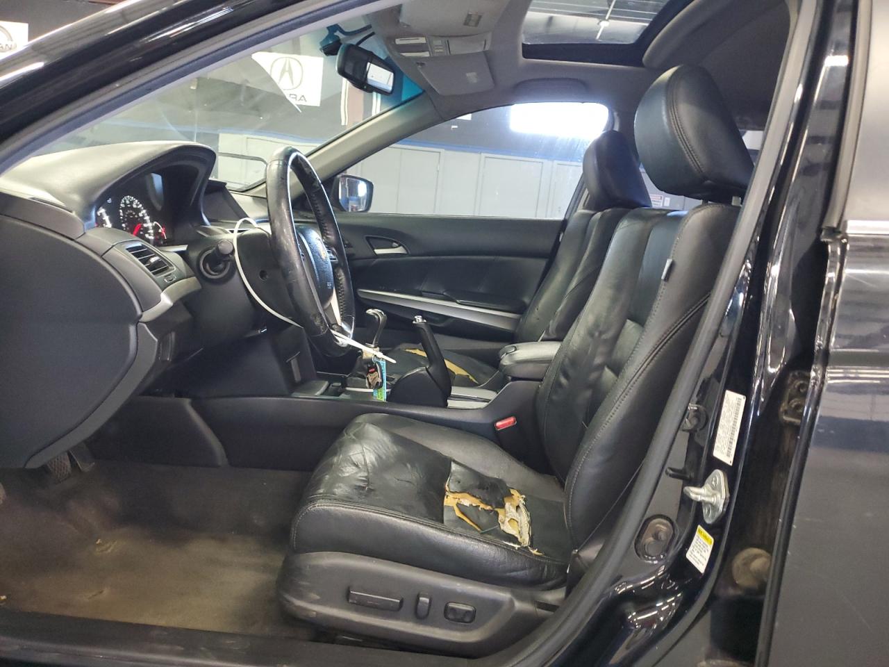 Lot #3242535621 2009 HONDA ACCORD EXL