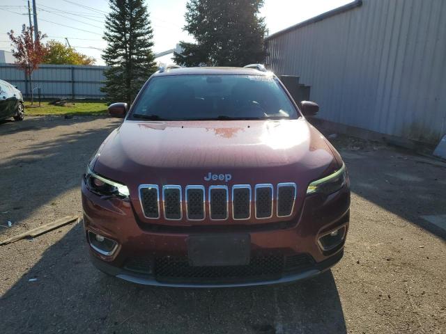 2019 JEEP CHEROKEE L 1C4PJMDX9KD138660