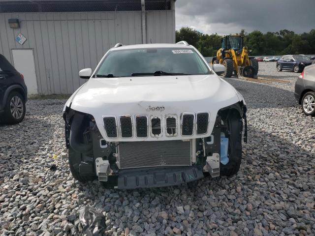 2019 JEEP CHEROKEE L 1C4PJMLX2KD271522