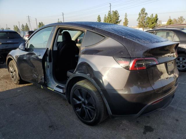 2024 TESLA MODEL Y 7SAYGDED2RF103181