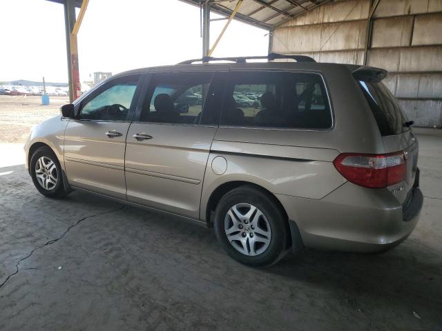 HONDA ODYSSEY EX 2006 gold sports v gas 5FNRL38776B434248 photo #3
