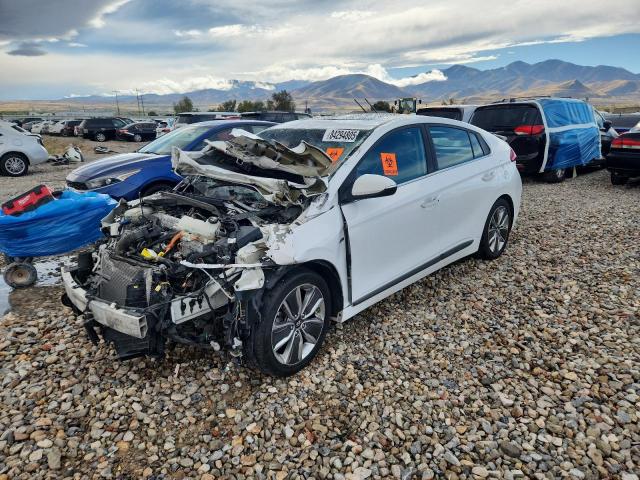 2019 HYUNDAI IONIQ LIMI #3318156363