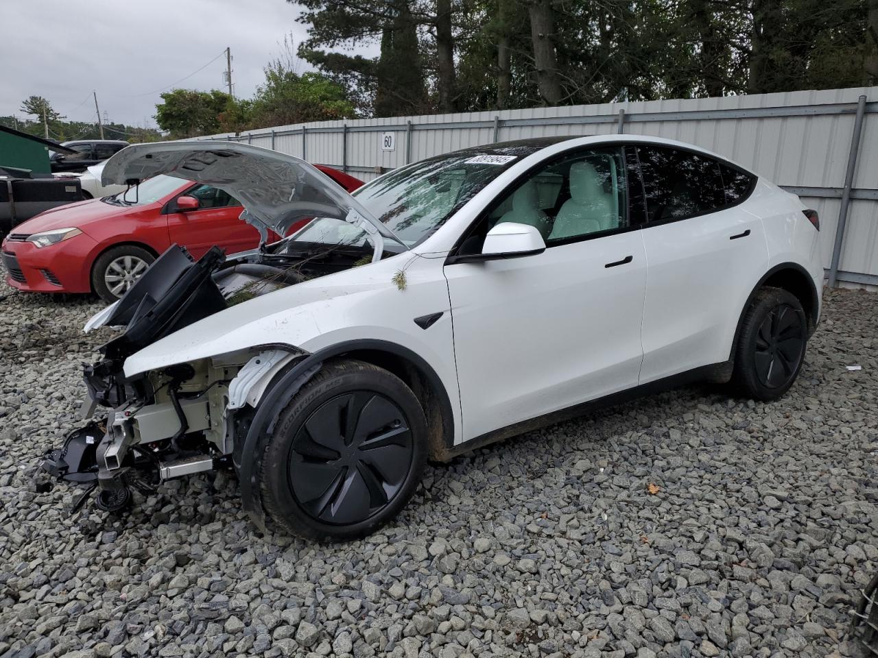 Lot #3281628383 2026 TESLA MODEL Y