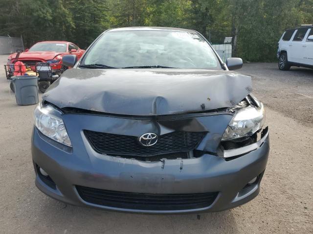 2010 TOYOTA COROLLA BA - 2T1BU4EE4AC348156