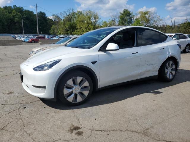 2023 TESLA MODEL Y #3304515561