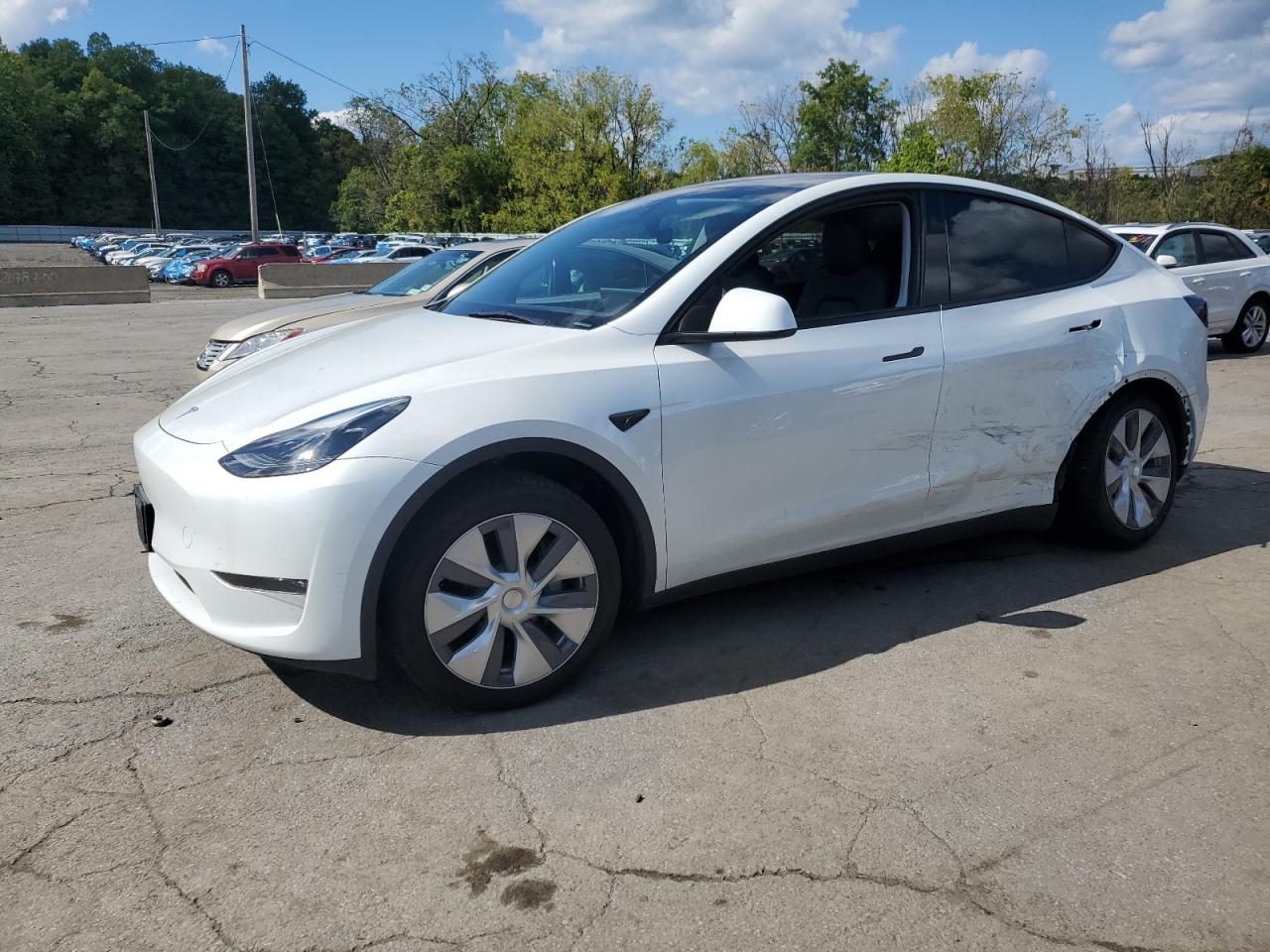 TESLA MODEL Y