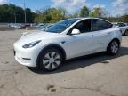 Lot #3304515561 2023 TESLA MODEL Y