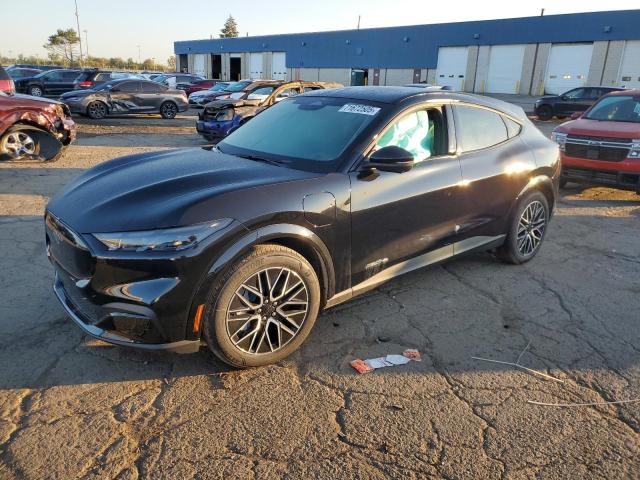 Global Auto Auctions: 2025 FORD MUSTANG MA