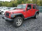 Top Destinations for Shipping Cars from the USA