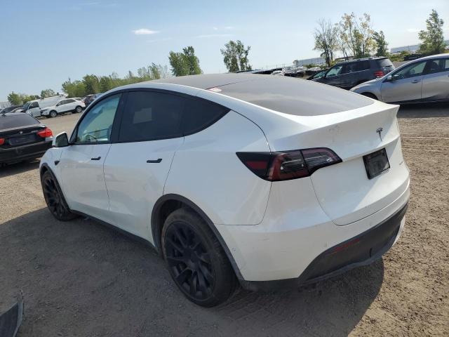 2021 TESLA MODEL Y - 5YJYGDEE5MF195188