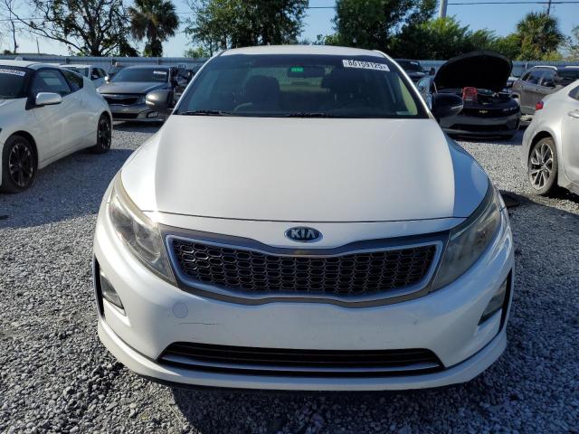 2016 KIA OPTIMA HYB KNAGM4AD6G5095203