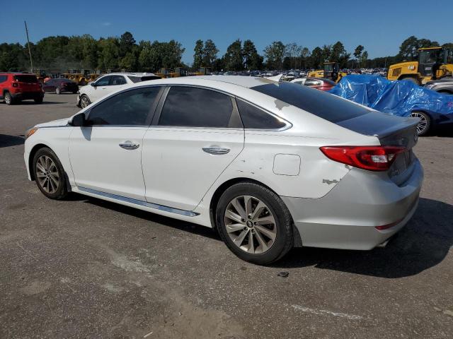 2017 HYUNDAI SONATA SPO 5NPE34AF1HH441867