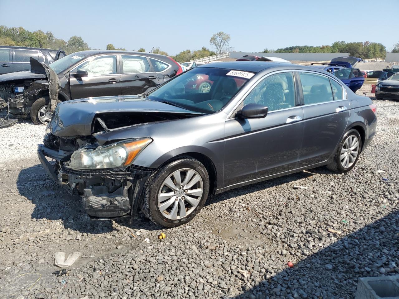 HONDA ACCORD EXL