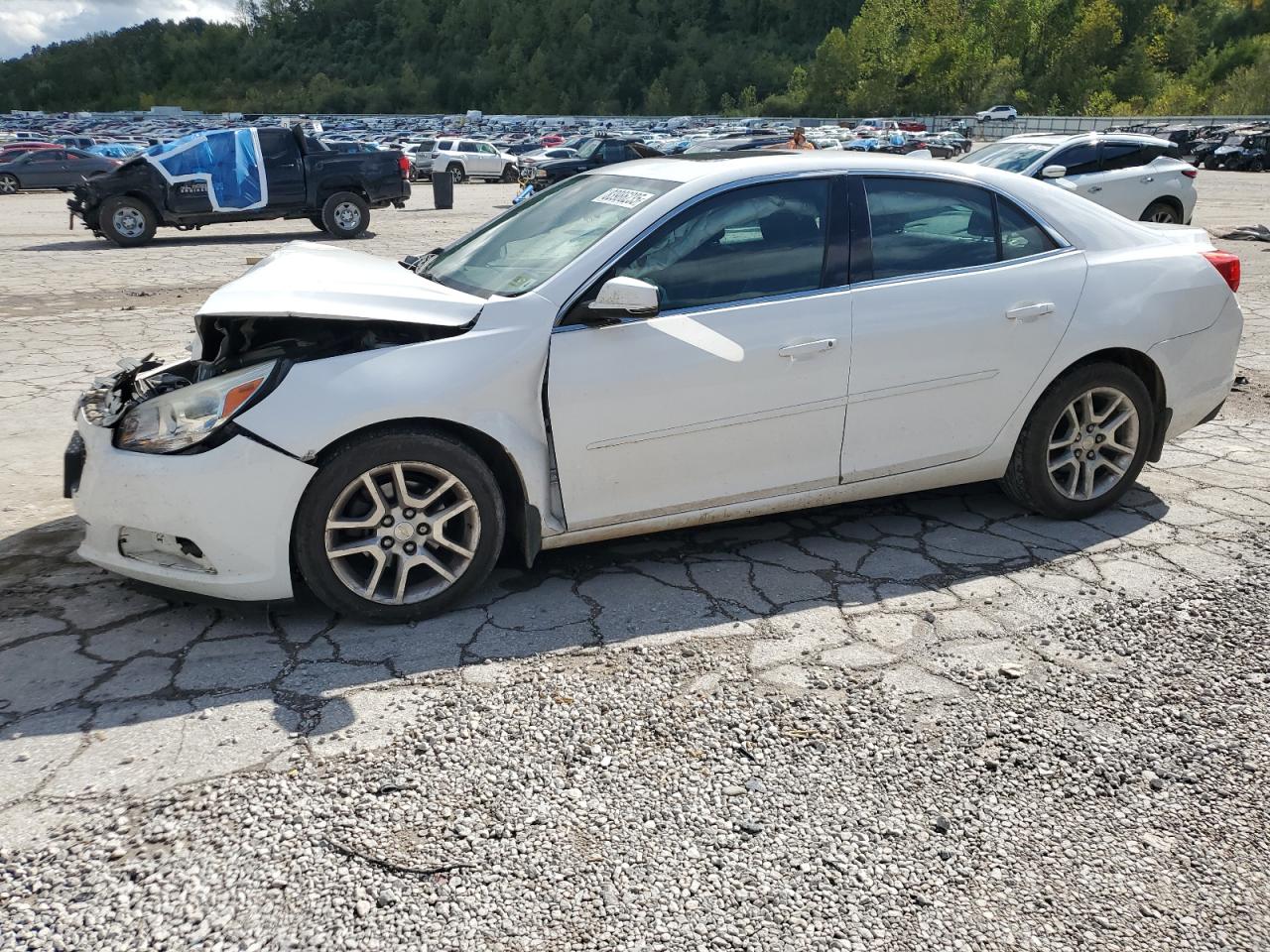 CHEVROLET MALIBU 1LT