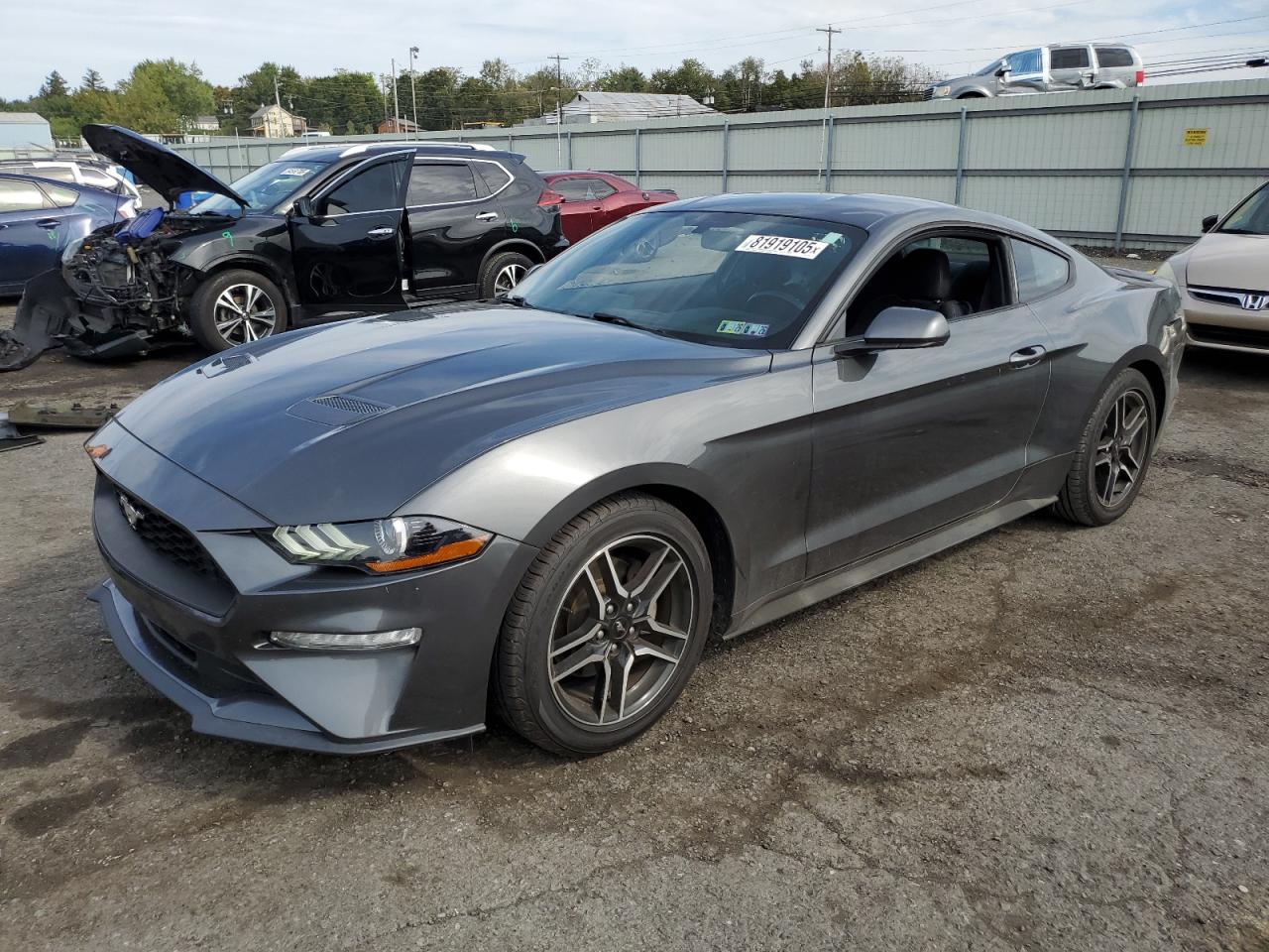 FORD MUSTANG