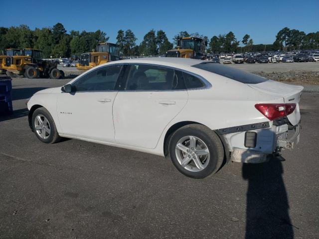2024 CHEVROLET MALIBU LS 1G1ZC5STXRF186667