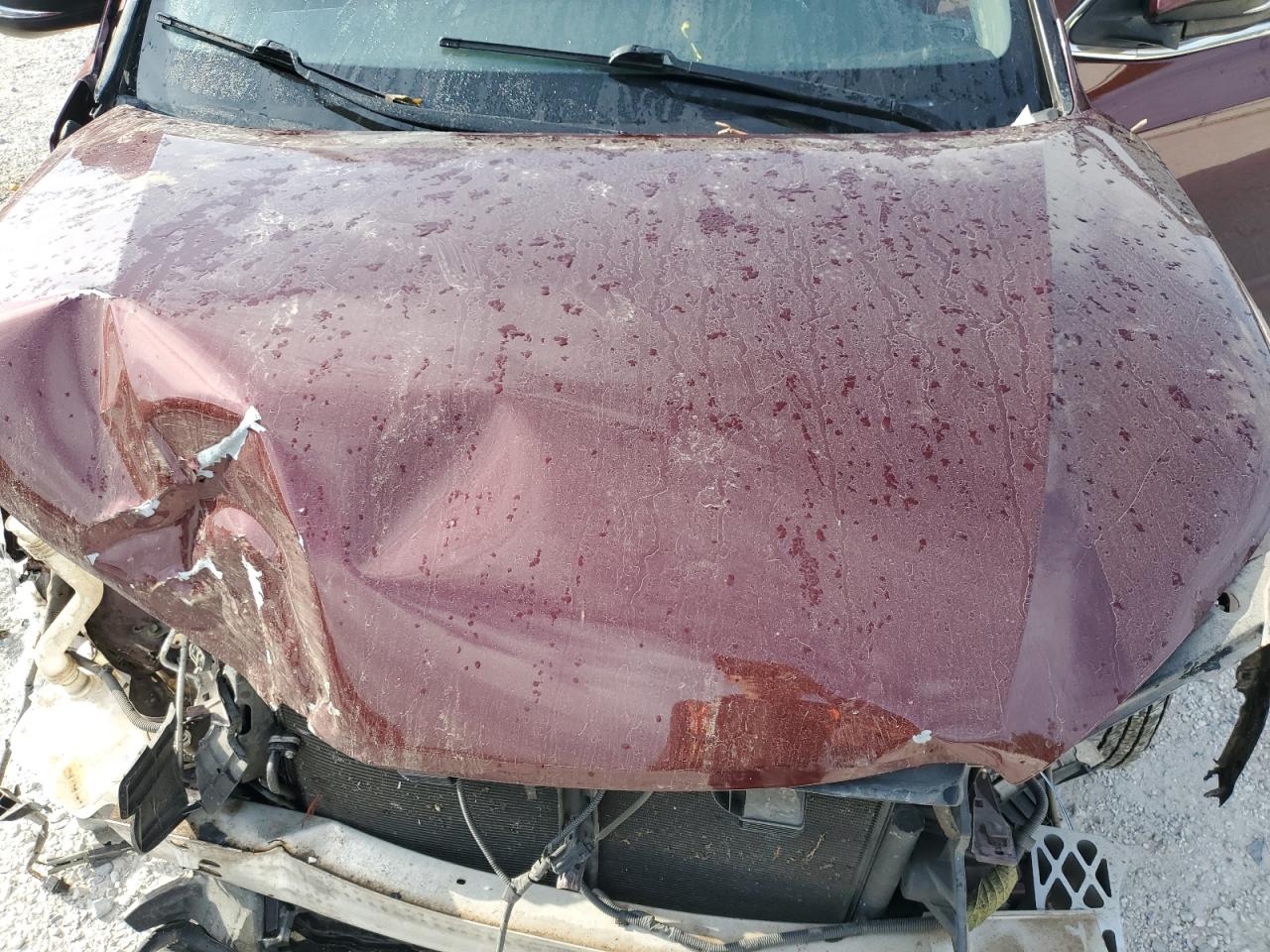 TOYOTA HIGHLANDER LE