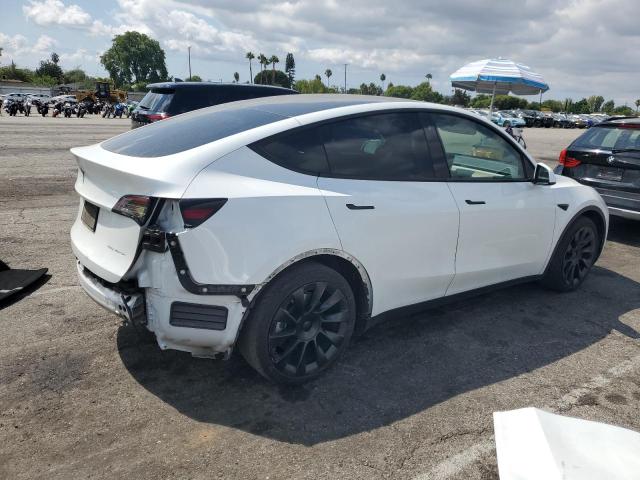 2021 TESLA MODEL Y #3302659048