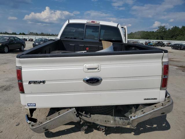 2013 FORD F150 SUPER - 1FTFX1CF8DFB77250