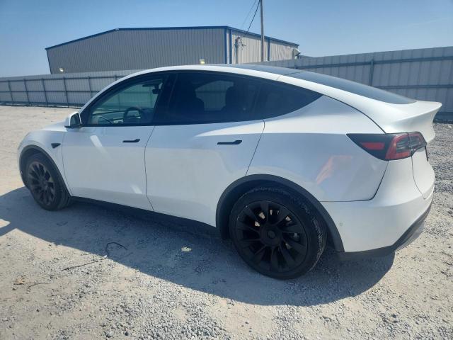 2021 TESLA MODEL Y - 5YJYGDEE2MF175206