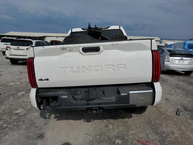 2023 TOYOTA TUNDRA CRE 5TFLA5DB1PX107966