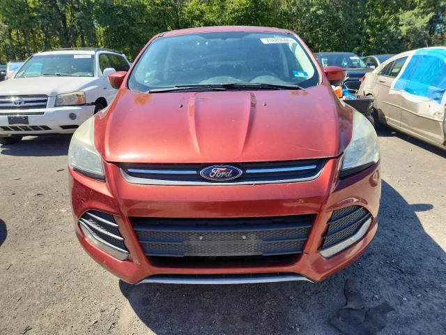 2016 FORD ESCAPE SE 1FMCU9G99GUA41686