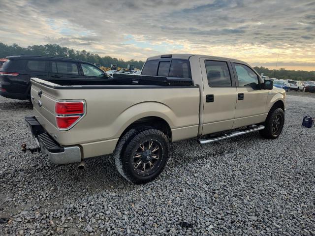 2010 FORD F150 SUPER - 1FTFW1CV0AFC80829