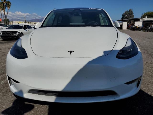 2024 TESLA MODEL Y 7SAYGDEE1RF064317