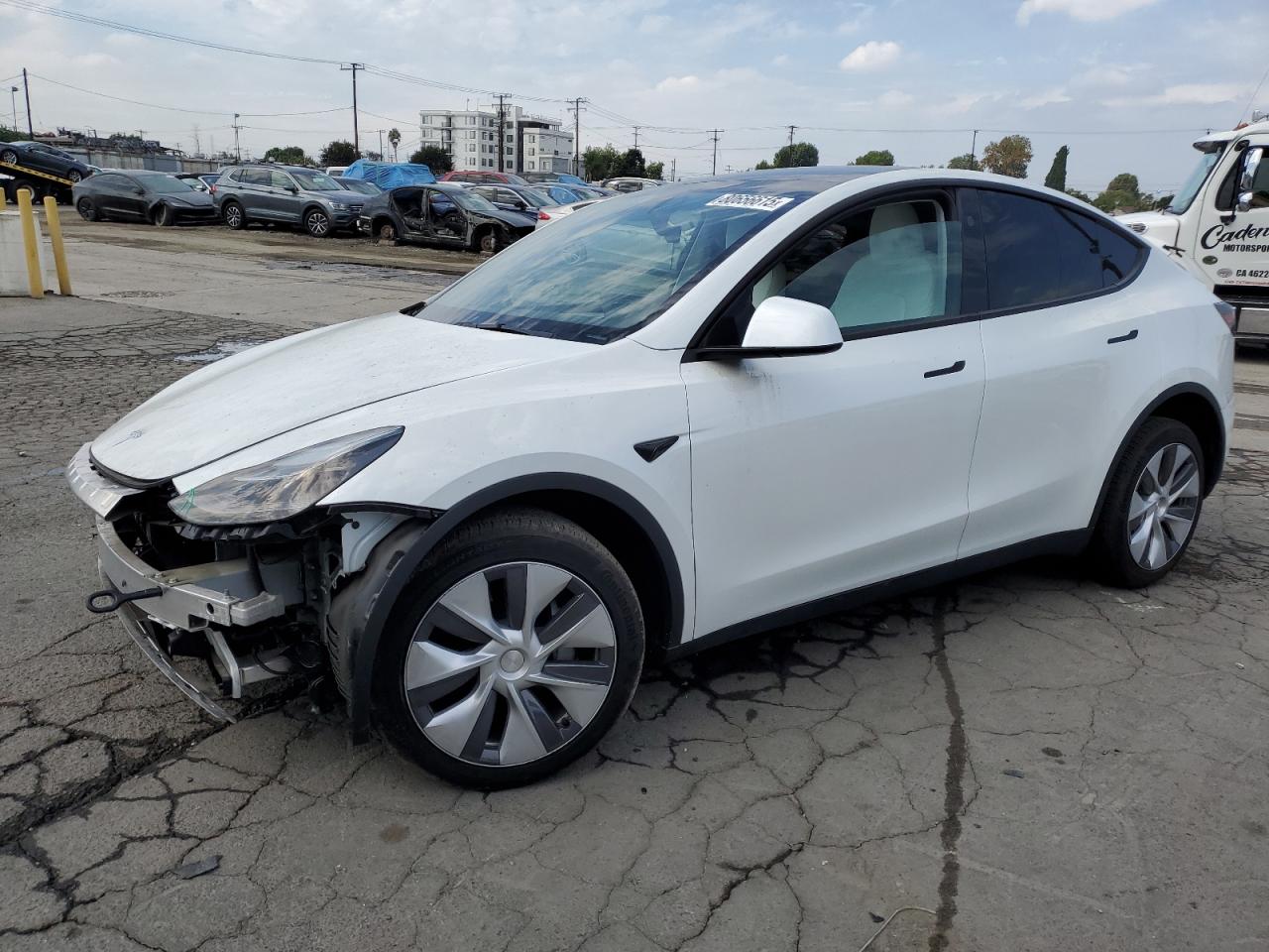 Lot #3308360279 2023 TESLA MODEL Y