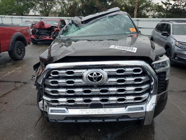 2025 TOYOTA TUNDRA CRE 5TFMC5DB4SX094119