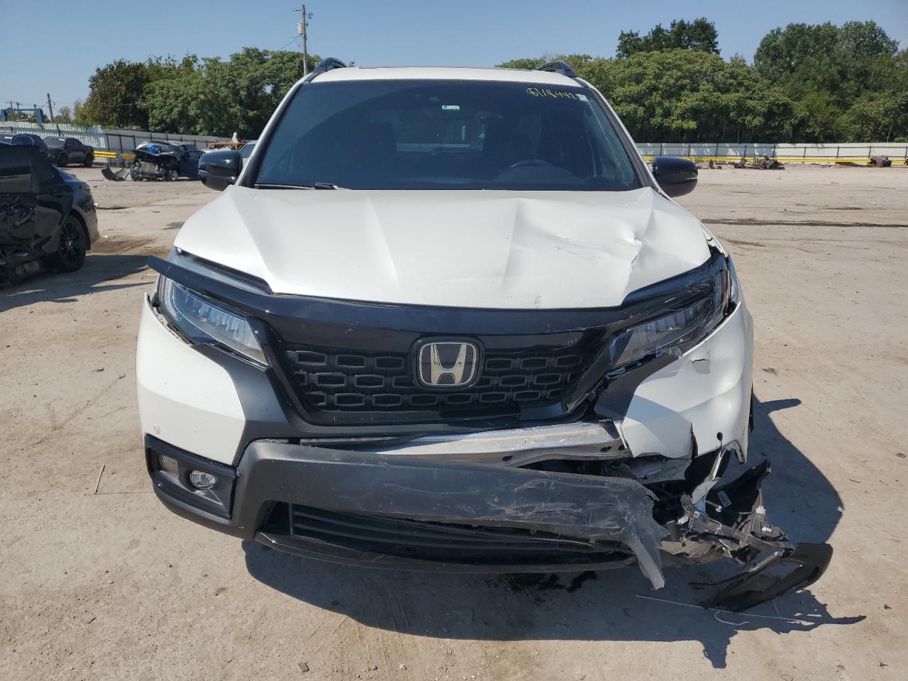 HONDA PASSPORT ELITE