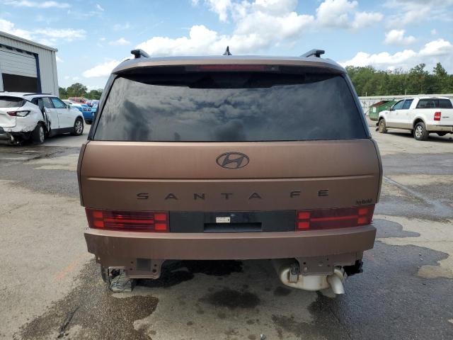2025 HYUNDAI SANTA FE C #3284831523