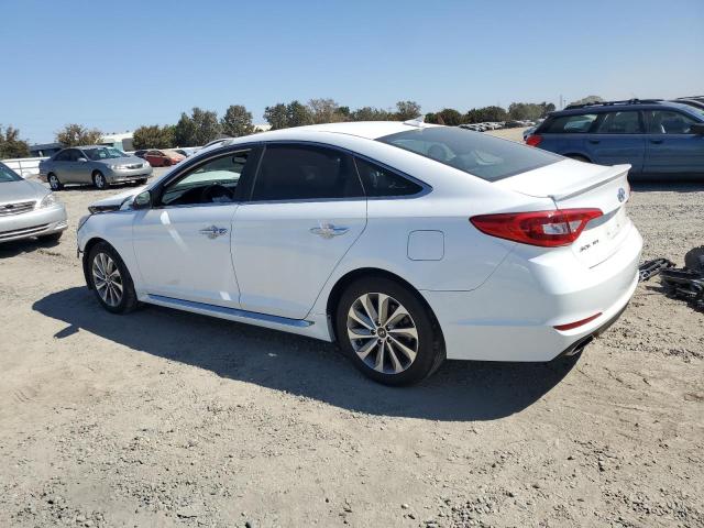 2016 HYUNDAI SONATA SPORT 5NPE34AF0GH333402
