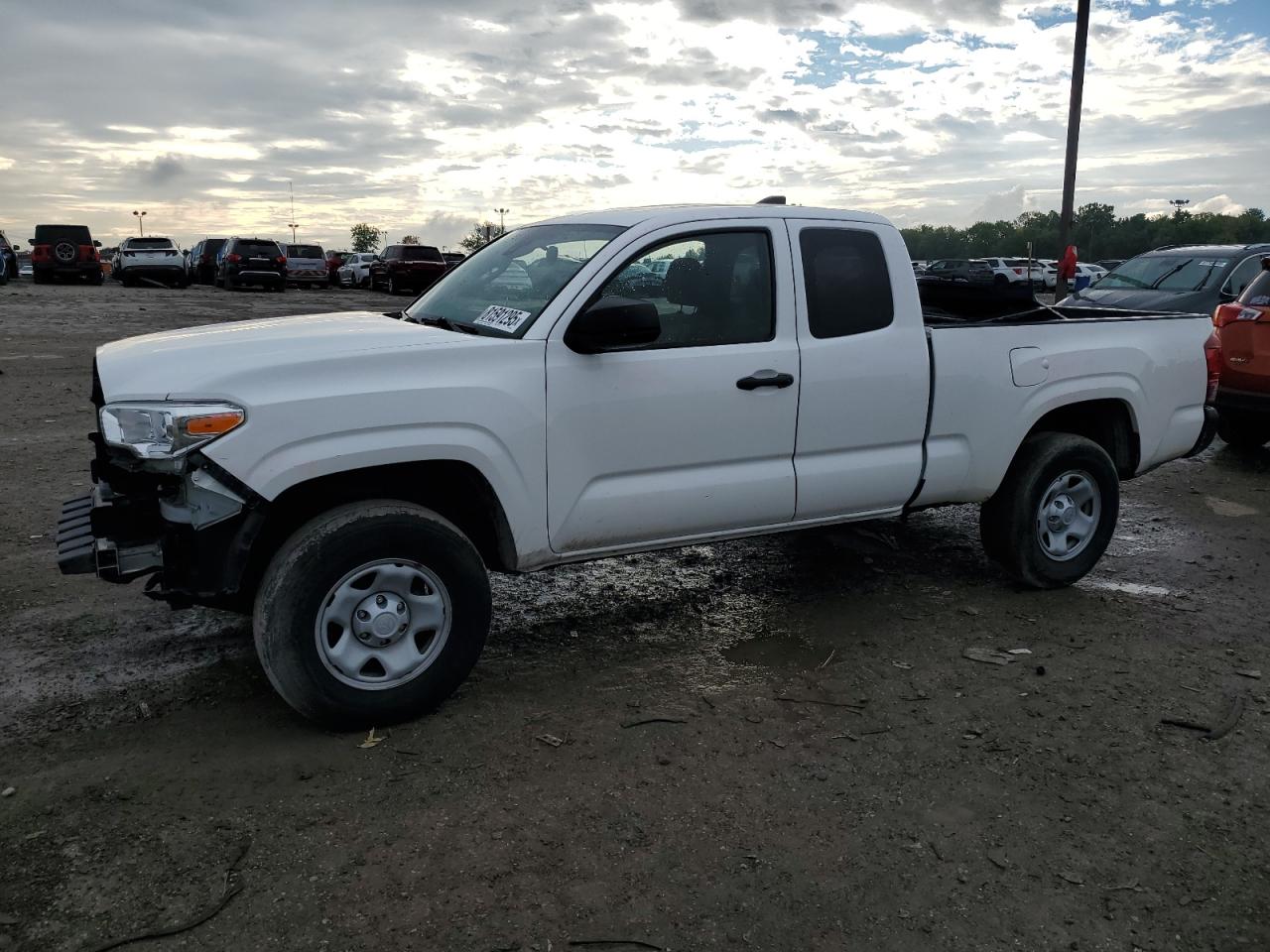 Lot #3264421417 2022 TOYOTA TACOMA ACC