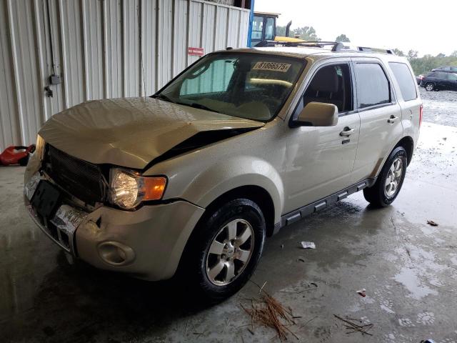 Global Auto Auctions: 2011 FORD ESCAPE LIM